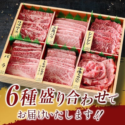宮崎牛 特選焼肉 食べ比べ6点盛り 4等級以上 ブランド牛 内閣総理大臣賞4連覇 牛肉[2428]