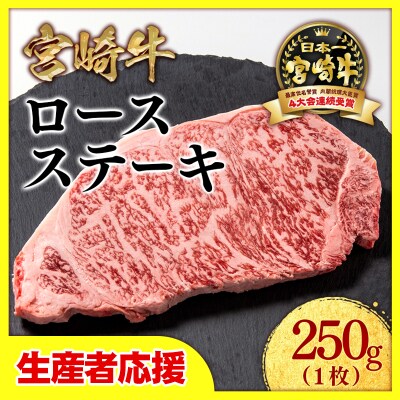 【生産者応援】宮崎牛ロースステーキ1枚(250g×1)内閣総理大臣賞4連覇!ミヤチク[2536]