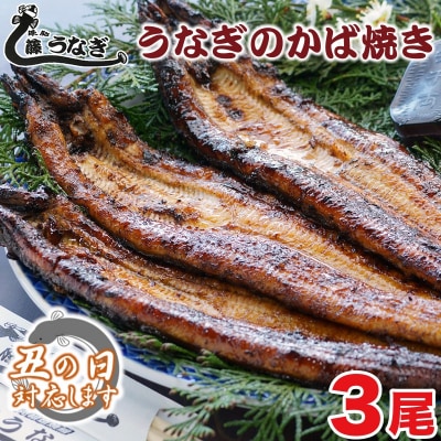 【土用の丑の日企画】藤うなぎ　かば焼き　3尾　国産うなぎ 宮崎 蒲焼 鰻[1160]