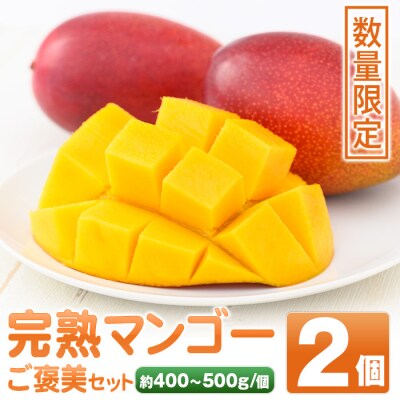 【先行受付】肝付町産　完熟マンゴー　ご褒美セット　B15002