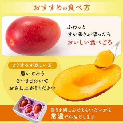 【先行受付】肝付町産　完熟マンゴー　ご褒美セット　B15002