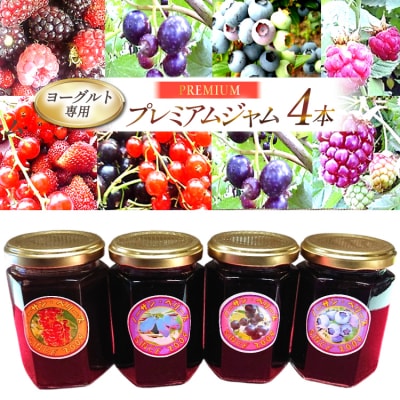 ヨーグルト専用プレミアム・ジャム4本詰めセット [ノーザン・ベリーズ 12260842] 