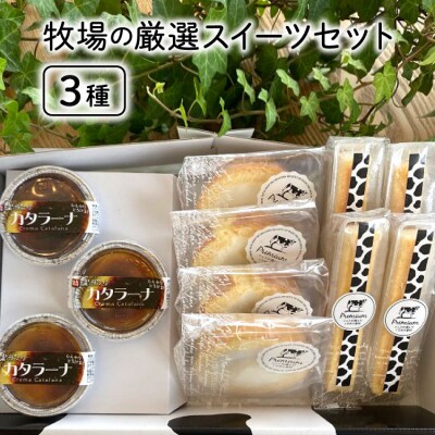 牧場の厳選スイーツセット 3種 計11個 [岩瀬牧場 北海道 砂川市 12260338] 