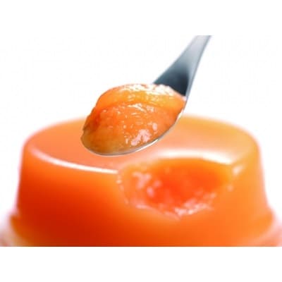 夕張メロンピュアゼリー 15個入 [ホリ 北海道 砂川市 12260372] フルーツ ゼリー 