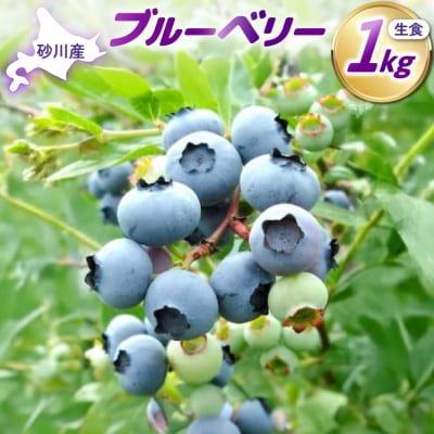 【期間限定発送】 ブルーベリー 生食 1kg [ノーザン・ベリーズ 砂川市 12260529]