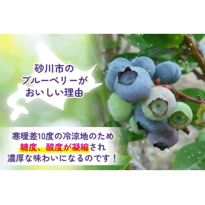 【期間限定発送】 ブルーベリー 生食 1kg [ノーザン・ベリーズ 砂川市 12260529]