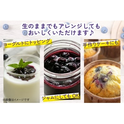 【期間限定発送】生食 ブルーベリー 1kg [ノーザン・ベリーズ 北海道 砂川市 12260529]
