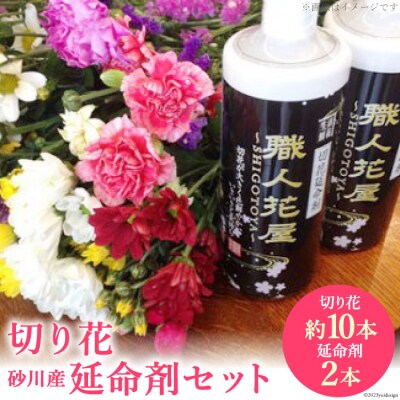 【北海道内限定】切り花(約10本)&砂川産延命剤(2本)セット いけがわ生花店 [12260336]