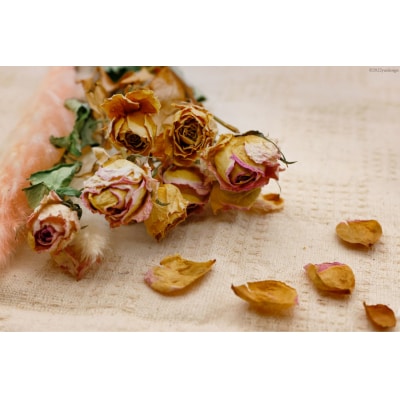 ドライフラワー ブーケ 1束 [池川生花店 北海道 砂川市 12260335] スワッグ 花 