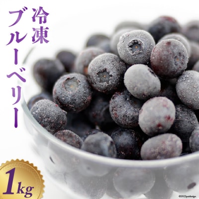 冷凍 ブルーベリー 1kg [三谷果樹園 北海道 砂川市 12260358] 果物 フルーツ