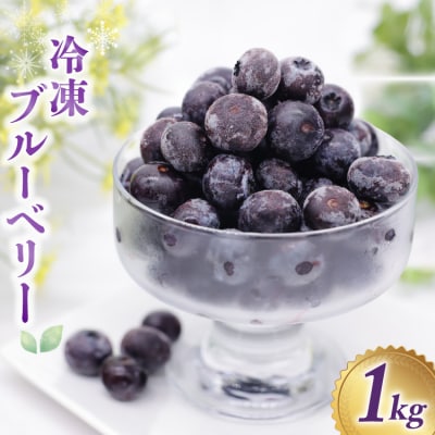 ブルーベリー 冷凍 1kg [三谷果樹園 北海道 砂川市 12260358]