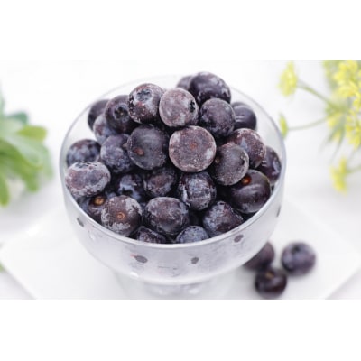 冷凍 ブルーベリー 1kg [三谷果樹園 北海道 砂川市 12260358] 果物 フルーツ 