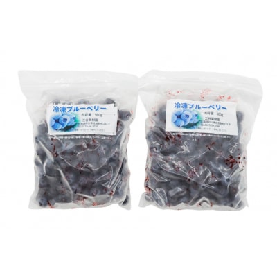 冷凍 ブルーベリー 1kg [三谷果樹園 北海道 砂川市 12260358] 果物 フルーツ 