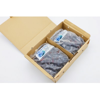 冷凍 ブルーベリー 1kg [三谷果樹園 北海道 砂川市 12260358] 果物 フルーツ 