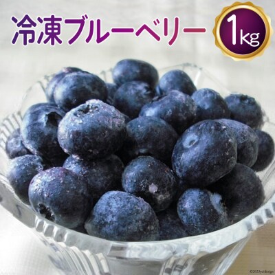 <先行受付> 冷凍 ブルーベリー 1kg [ノーザン・ベリーズ 北海道 砂川市 12260395]