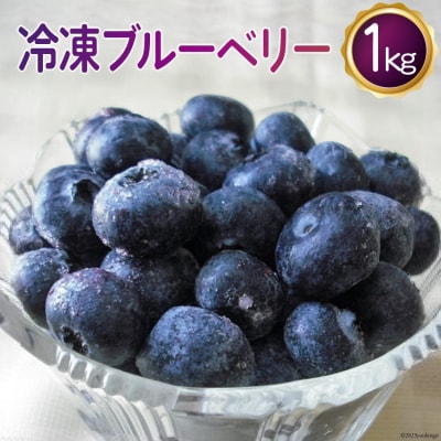 冷凍 ブルーベリー 1kg [ノーザン・ベリーズ 北海道 砂川市 12260395]