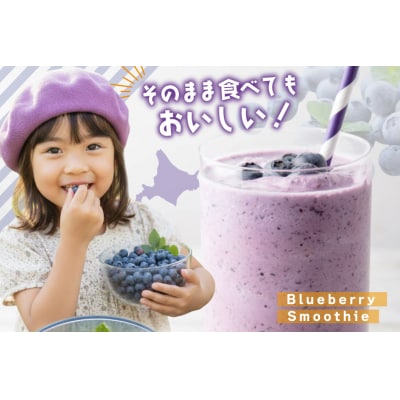 〈先行予約〉 冷凍 ブルーベリー 1kg [ノーザン・ベリーズ 北海道 砂川市 12260395]