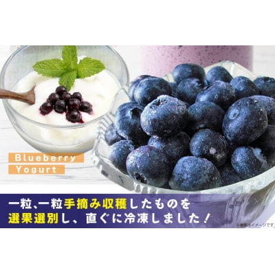 ブルーベリー 冷凍 1kg [ノーザン・ベリーズ 砂川市 12260395]