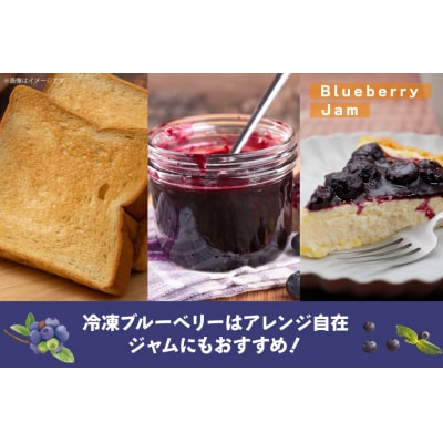 〈先行予約〉 冷凍 ブルーベリー 1kg [ノーザン・ベリーズ 北海道 砂川市 12260395]