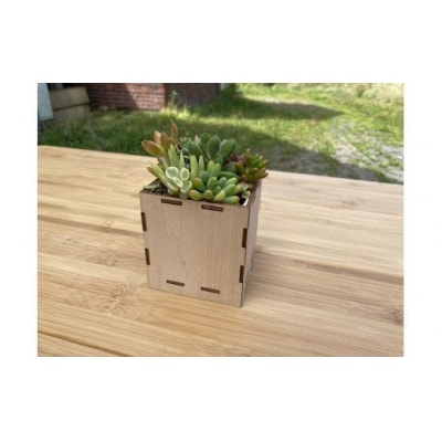 安心やすらぎ共和国 OASIS REPUBLIC『多肉植物寄せ植え体験ギフトセット』12260374