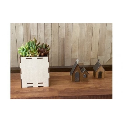 安心やすらぎ共和国 OASIS REPUBLIC『多肉植物寄せ植え体験ギフトセット』12260374