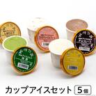 【牧場直送】 アイス 120ml ×5種 計5個  [岩瀬牧場 北海道 砂川市 12260519]