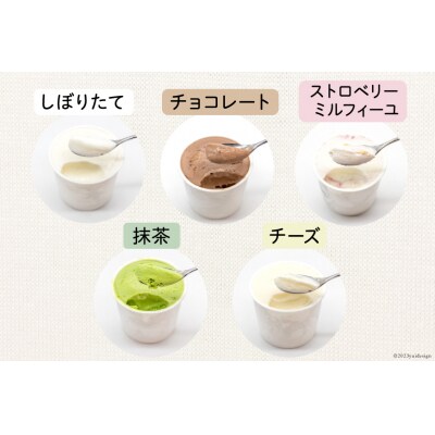 【牧場直送】 アイス 120ml ×5種 計5個  [岩瀬牧場 12260519] 