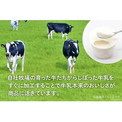 【牧場直送】 アイス 120ml ×5種 計5個  [岩瀬牧場 12260519] 