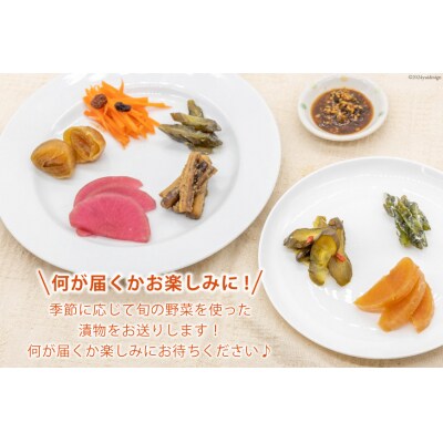 無添加 減塩 手作り 漬物 6種 食べ比べ セット [たびのそら 12260517] 