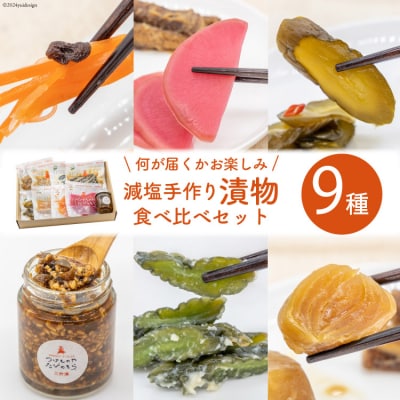 無添加 減塩 手作り 漬物 9種 食べ比べ セット [たびのそら 北海道 砂川市 12260518]