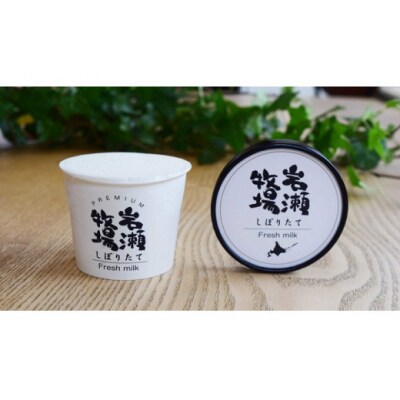 プレミアムカップアイス12個セット [岩瀬牧場 北海道 砂川市 12260340] アイス 