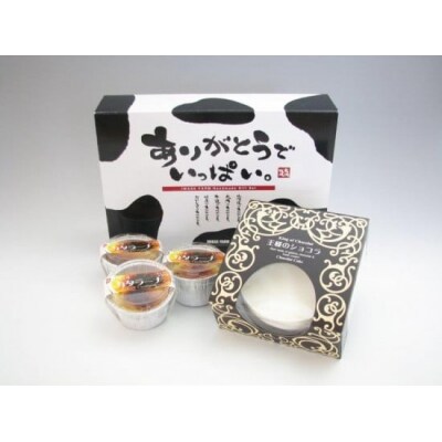 王様のショコラとカタラーナのセット [岩瀬牧場 北海道 砂川市 12260346] 菓子 お菓子 