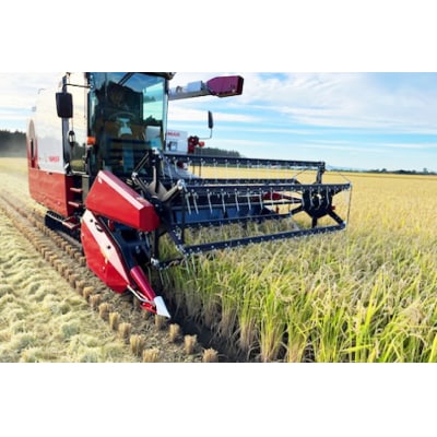 米 令和7年 ななつぼし 玄米 30kg [JA新すながわ 砂川市 12260852] ◎