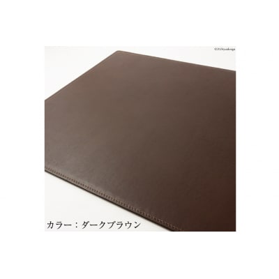 (お申込み後生産) SOMES CO-05 デスクマット ライトブラウン 12260653-e ◎