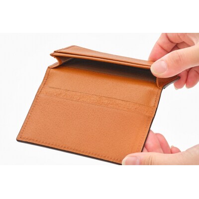 SOMES 名刺入れ (ブラウン) WF-15 [12260676-b]  