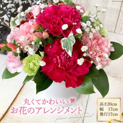 丸くてかわいいお花のアレンジメント [池川”FLOWER”生花店 12260609] 