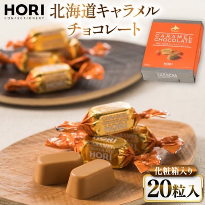 チョコレート 北海道キャラメルチョコレート 20粒入 1箱 [12260827]  ◎