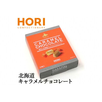 チョコレート 北海道キャラメルチョコレート 20粒入 1箱 [12260827]  ◎