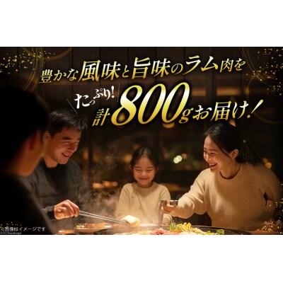 ラム肉 冷凍 ラムジンギスカン 200g 4パック 計800g [12260734-b]  