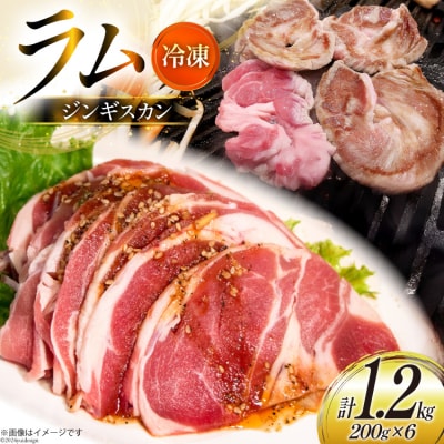 ラム肉 冷凍 ラムジンギスカン 200g 6パック 計1.2kg [12260734-c]  ◎
