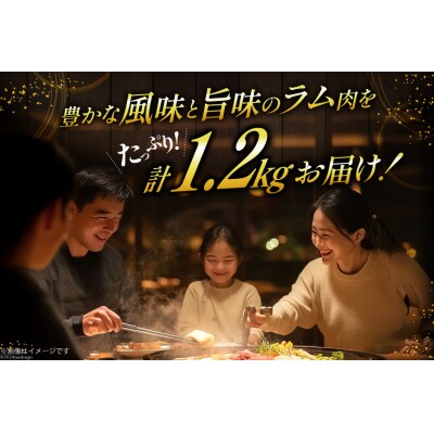 ラム肉 冷凍 ラム肩ロース 200g 6パック 計1.2kg 焼肉銀座園 [12260733-c]