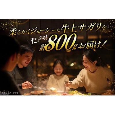 サガリ 牛 上サガリ 200g 4パック 計800g [焼肉銀座園  砂川市 12260732-b]