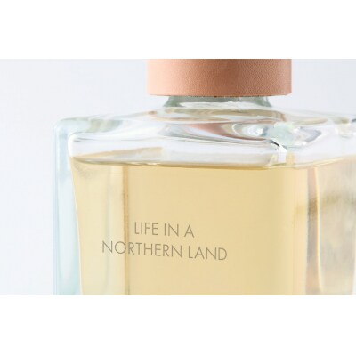 SOMES ルームフレグランス HL-11&レフィルHL-03セットナチュラル 12260757 