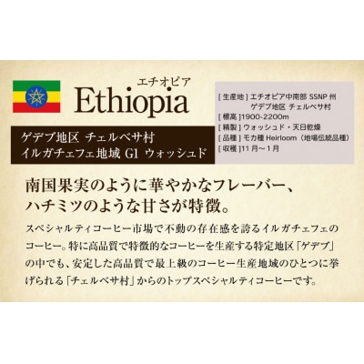 コーヒー豆 自家焙煎 浅煎り 100g 2種 計200g 飲み比べ セット 12260779  