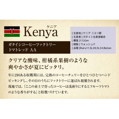 コーヒー豆 自家焙煎 浅煎り 100g 2種 計200g 飲み比べ セット [12260779]