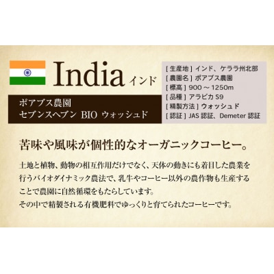 コーヒー豆 自家焙煎 深煎り 100g 2種 計200g 飲み比べ セット 12260781  