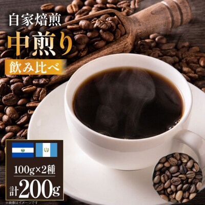 コーヒー豆 自家焙煎 中煎り 100g 2種 計200g 飲み比べ セット [12260780] 