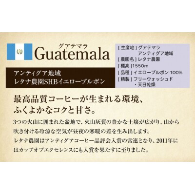 コーヒー豆 自家焙煎 中煎り 100g 2種 計200g 飲み比べ セット [12260780]