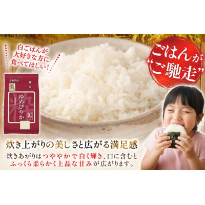 米 令和7年 北海道産 ゆめぴりか 2kg 2袋 計 4kg 6回 定期便 [12260944]