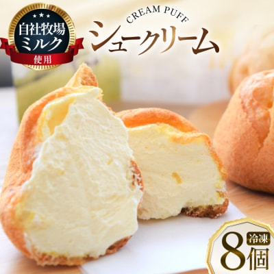 シュークリーム 冷凍 8個 [岩瀬牧場 北海道 砂川市 12260955]